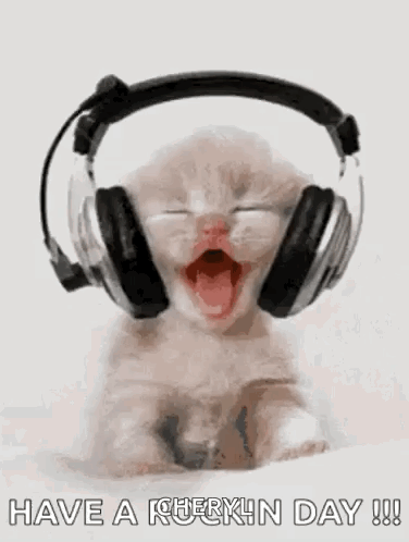 Kitten Wearing Headphones Yawning GIF