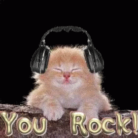 Kitten With Headphones on Rock Saying You Rock