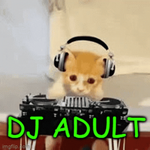 Kitten With Headphones Playing DJ Mixer GIF