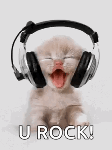 Kitten With Headphones Saying U Rock GIF