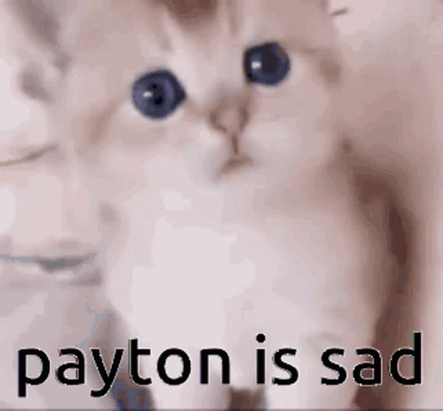 Kitten with Payton Is Sad