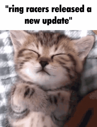Kitten With Ring Racers Update GIF