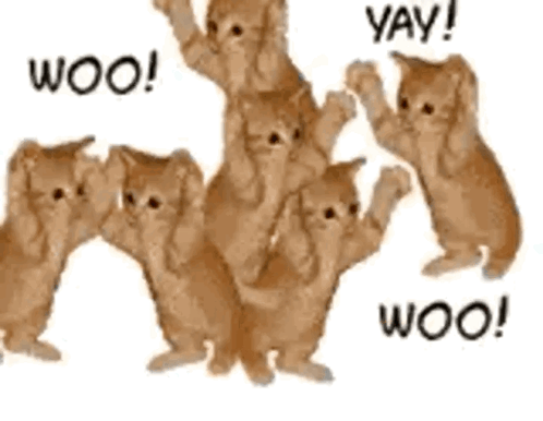 Kittens Standing on Hind Legs Saying Yay
