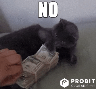 Kitty Claiming Money Meme GIF