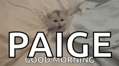 Kitty Good GIF