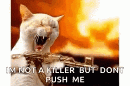 Kitty Machine Gun GIF