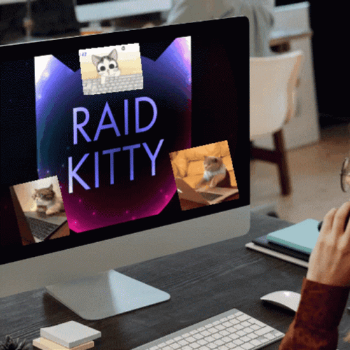 Kitty Raid GIF