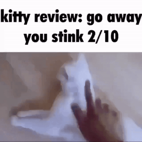 Kitty Review Go Away Stink GIF