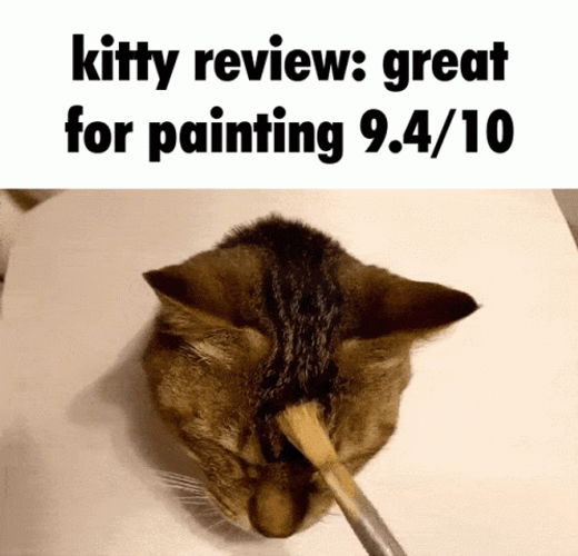 Kitty Review Great For Painting GIF
