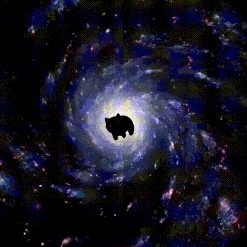 Kittyspin Ks Gif GIF