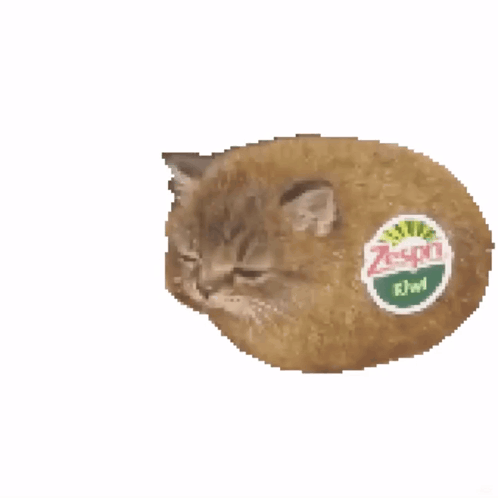 Kiwi-Like Cat With Kiwi Slice GIF