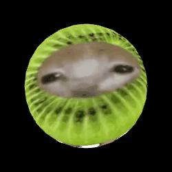 Kiwi With Dog Face