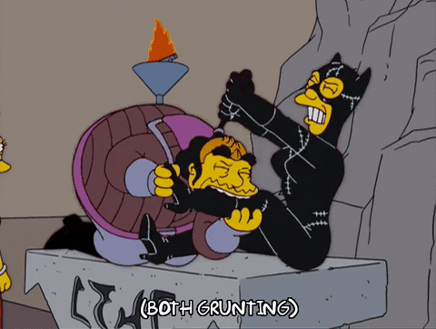 Klingon Cat Woman Fighting The Simpsons GIF
