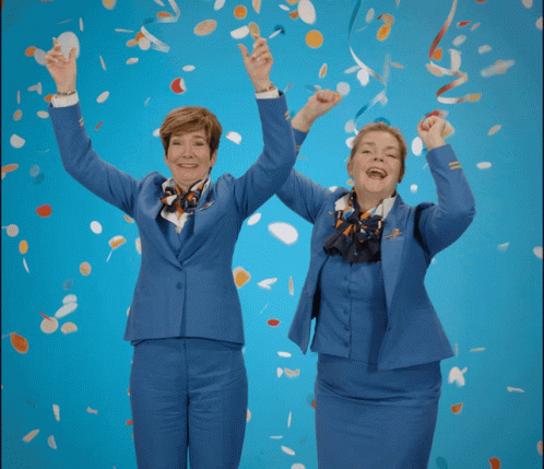 Klm Aviation Party Landed GIF