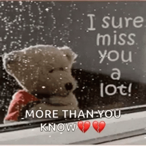 Sad Bear Looking Out Missing You GIF