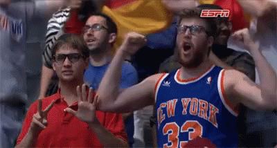Knicks Fans GIF