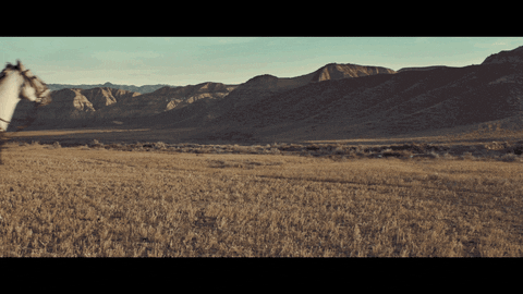 Game Of Thrones Horse Knight GIF