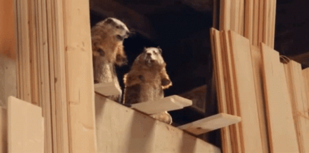 Knock On Wood GIF