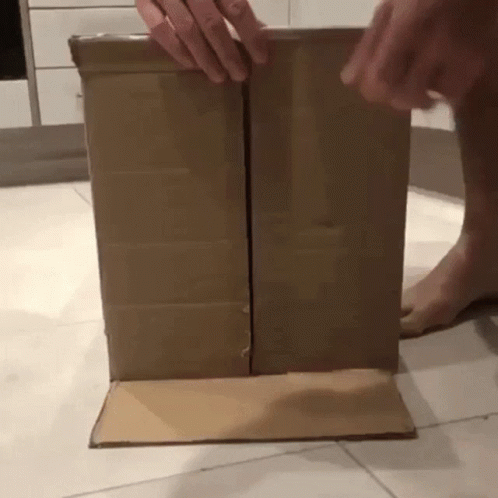 Knock On Wood Orange Cat GIF