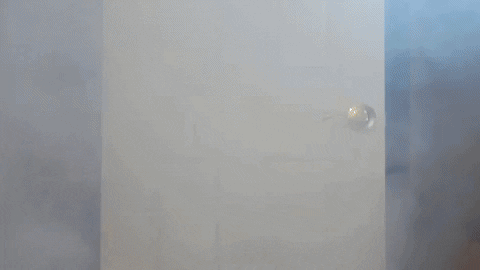 Knocking Down The Door Savannah Bananas GIF