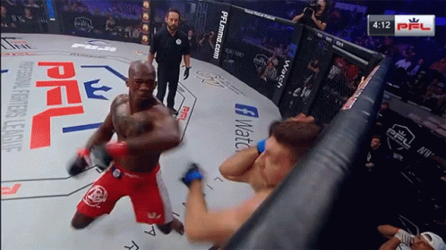 Knockout Referee Stopped Brutal Fight GIF
