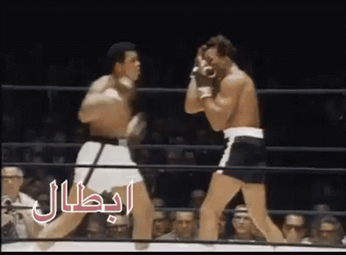 Knockout Muhammad Ali Classic Fight GIF