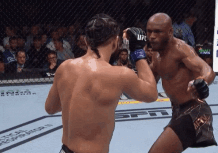 Knockout Punch UFC Kamaru Usman GIF