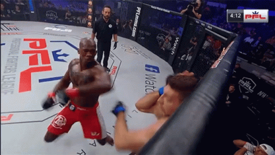 Knockout Referee Stopped Brutal Fight  GIF