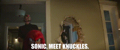 Knuckles The Echidna Introduced In The Movie Sonic GIF