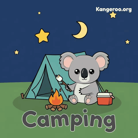 Koala Roasting Marshmallows By Tent And Campfire GIF