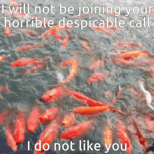 Koi Fish Horrible Despicable Call Meme GIF