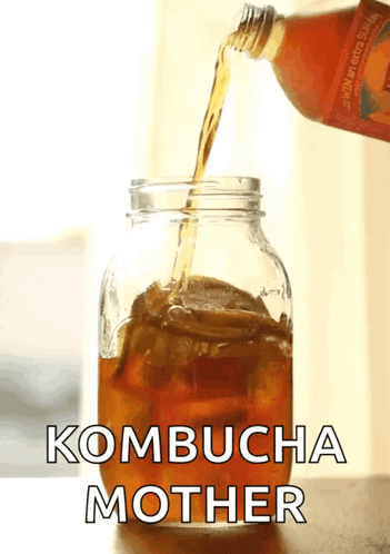 Kombucha Mother Tea Taste Good GIF