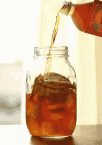 Kombucha Tea To Start Your Day GIF