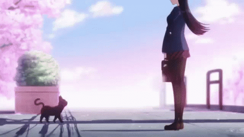 Komi San Cant Communicate With Cats GIF