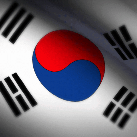 Korean Flag Red Blue White Circle GIF