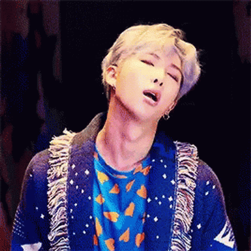 Kpop BTS Rm Cat Filter GIF