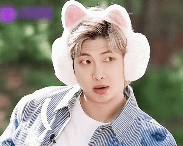 Kpop BTS Rm Confused Cat Ears GIF