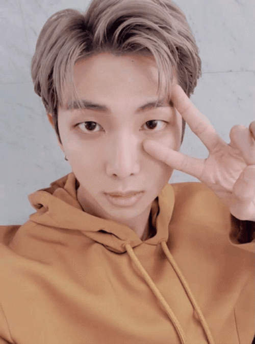 Kpop BTS Rm Hairstyle Peace Sign GIF