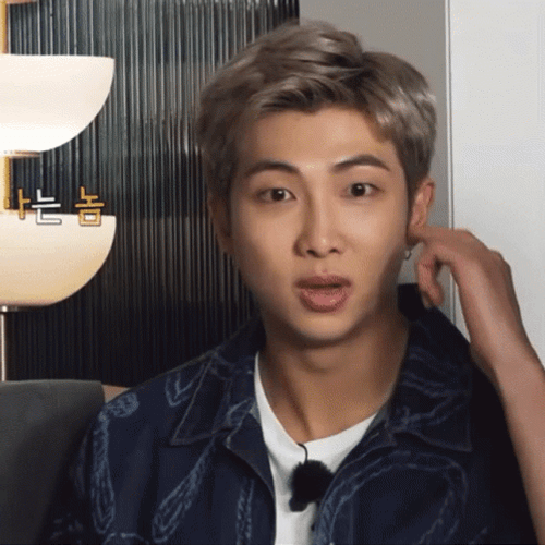 Kpop BTS Rm Overreacting Panic GIF