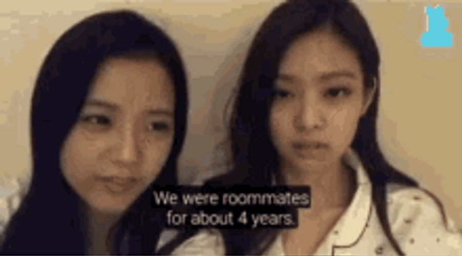 Kpop Girl Group Roommates Its Free Real Estate GIF