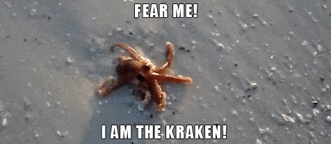 Kraken Fear Me GIF