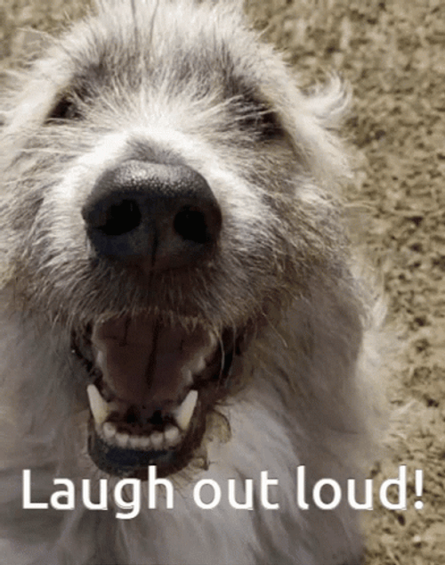 laughing dog