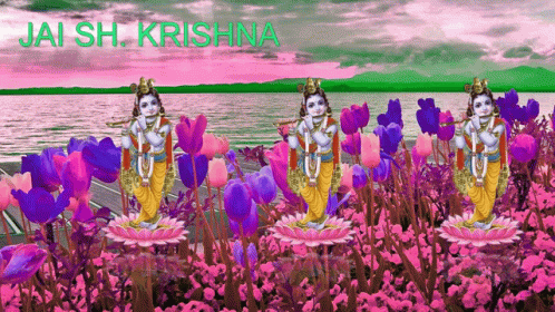 Krishna Playing Flute With Pink and Purple Flowers