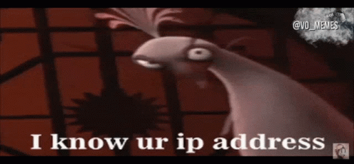 Kung Fu I Know Ur Ip Address GIF