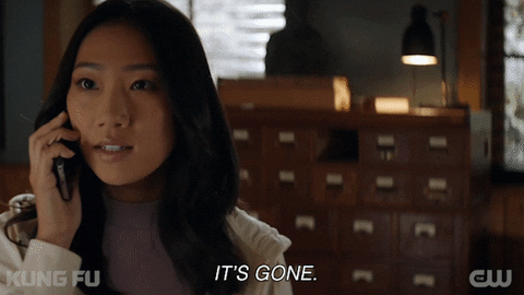 Kung Fu And Its Gone GIF