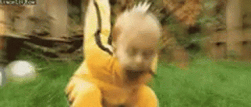 Kung Fu Baby Tumbling GIF