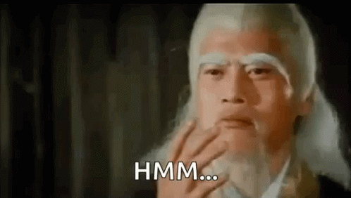Kung Fu Master Hmm GIF