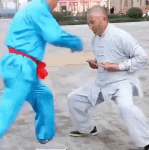 Kung Fu Nuts Ball GIF