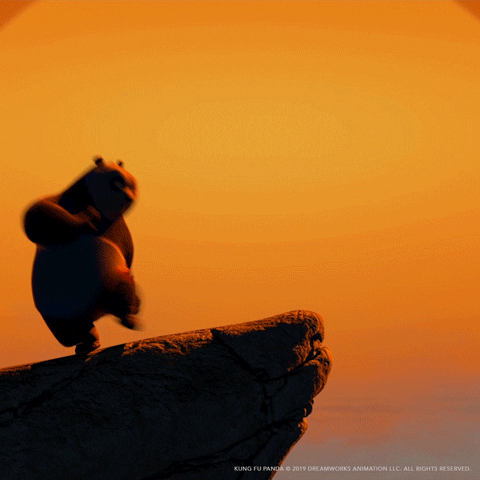 Kung Fu Panda Po Practicing Moves GIF