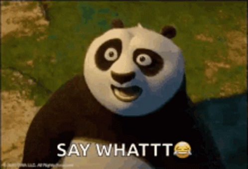 Kung Fu Panda Po Say What GIF